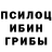 Псилоцибиновые грибы Psilocybe OLI AZYA
