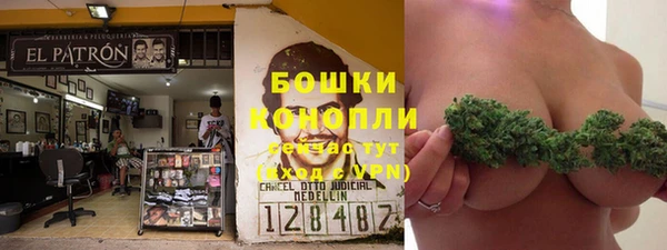 МДПВ Заводоуковск
