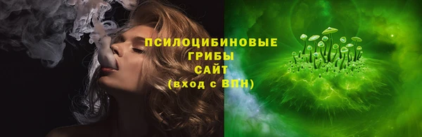 МДПВ Заводоуковск