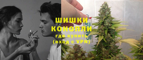 МДПВ Заводоуковск