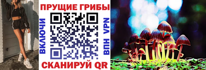Купить Звенигород Псилоцибиновые грибы мицелий